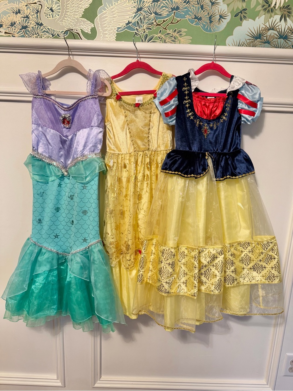 Disney Princess Dress Lot